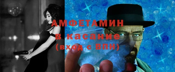 индика Кулебаки