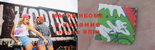 прущие грибы Краснотурьинск