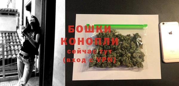 индика Кулебаки