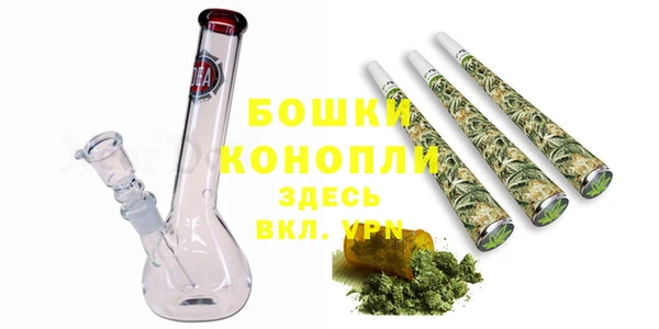 прущие грибы Краснотурьинск