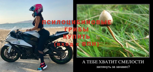 индика Кулебаки