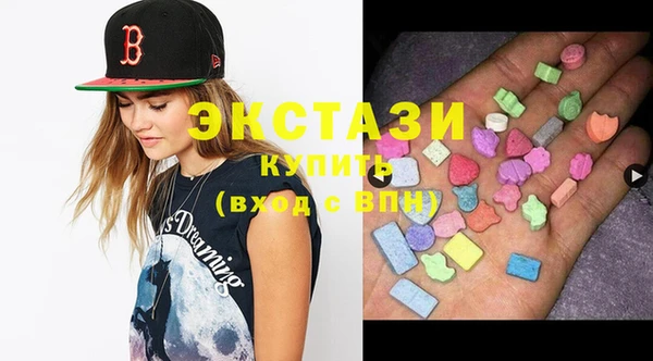 индика Кулебаки