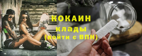 индика Кулебаки
