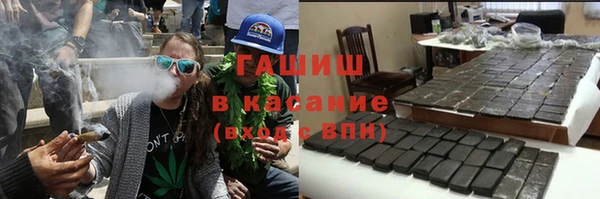 прущие грибы Краснотурьинск