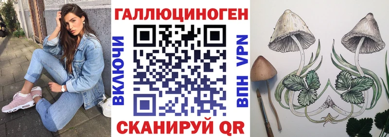 Галлюциногенные грибы GOLDEN TEACHER  Сосновка 